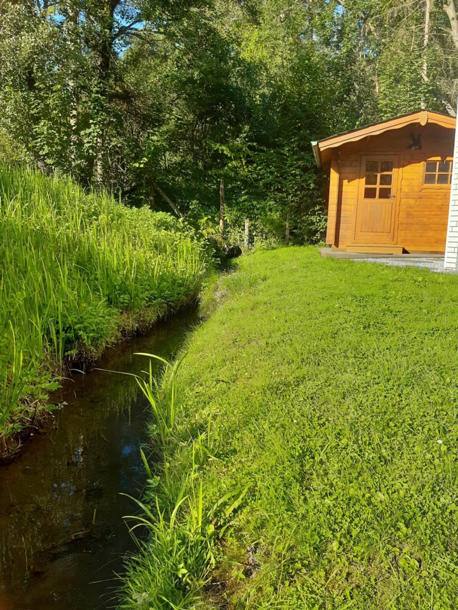 Ferienhaus Aanthuus Brilon Exteriér fotografie